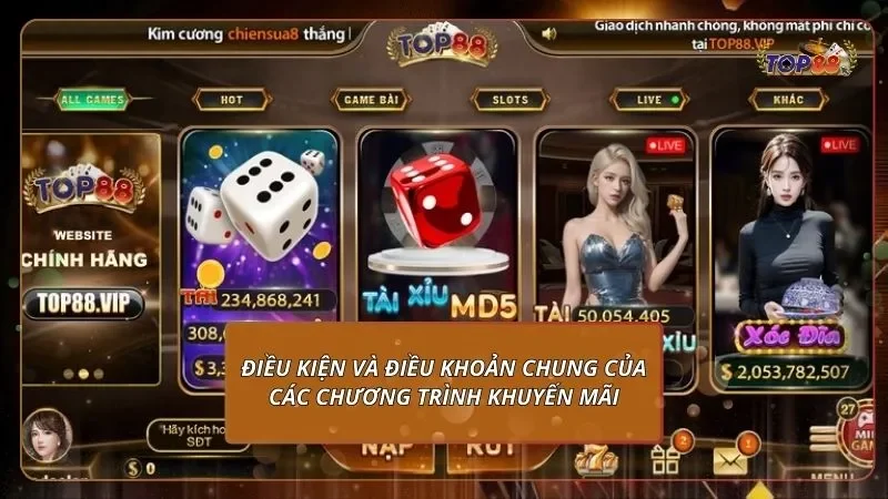 điều khoản điều kiện chung của các chương trình khuyến mãi